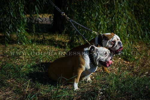 Leather Dog Leash Coupler