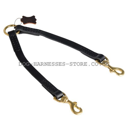 Dog Coupler Leash