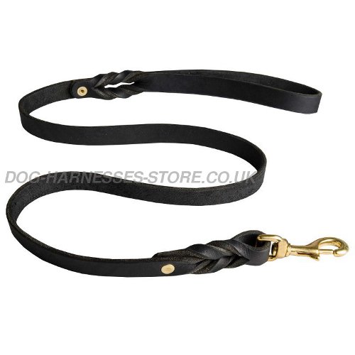 Leather Dog Leash UK