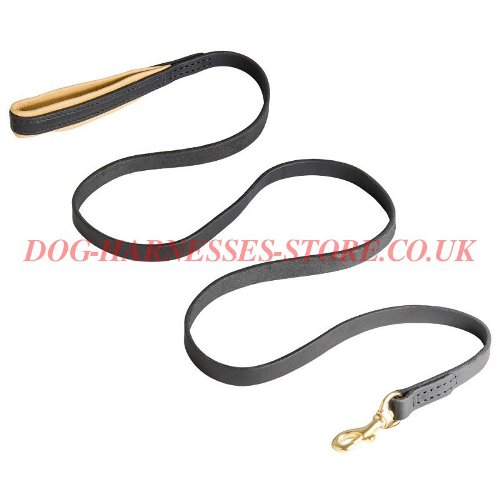 Leather Dog Leash UK