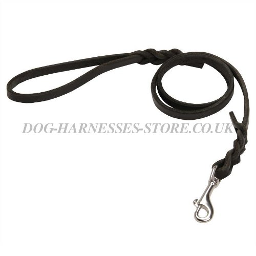 Leather Dog Leash UK