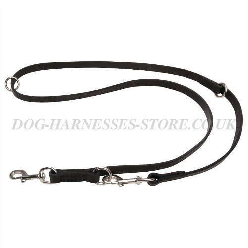 Leather Dog Leash UK