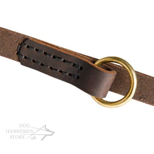 Leather Dog Leash with Brass Fittings