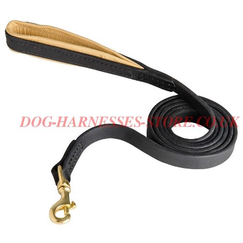 Leather Dog Leash UK