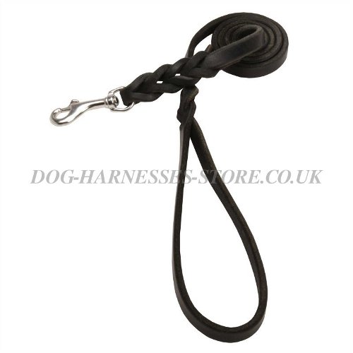 Leather Dog Leashes