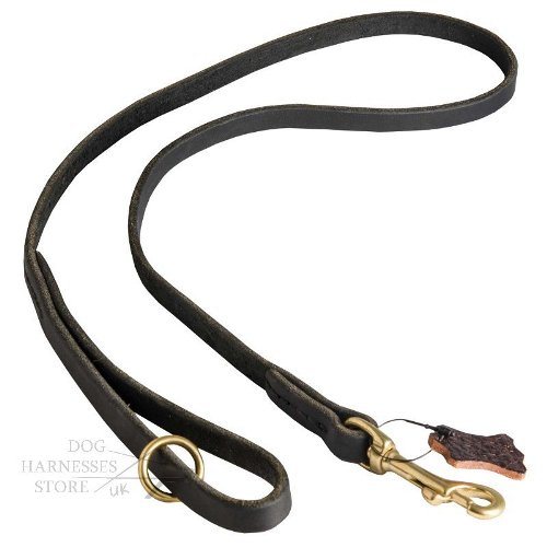 Best Dog Leash for Labrador