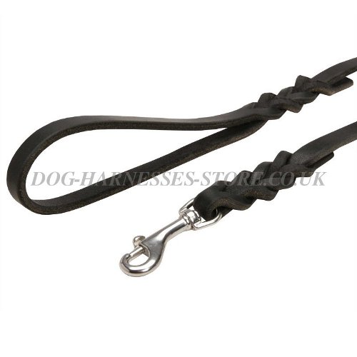 Leather Dog Leashes UK