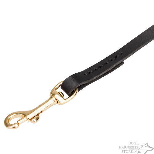 Dog Leash with Handle UK