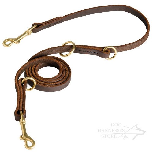 Multi Function Dog Leash Leather