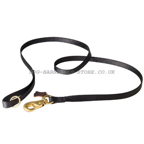 Nylon Dog Lead UK