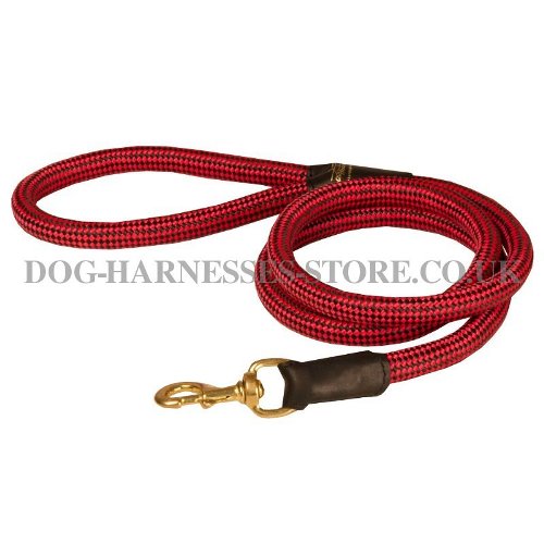 Nylon Rope Dog Lead