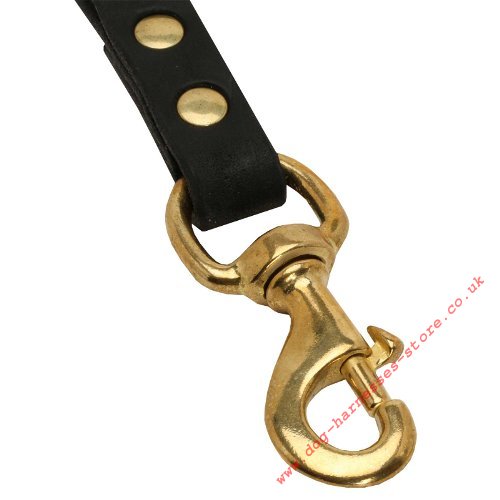 Buy Short Handle Dog Leash UK