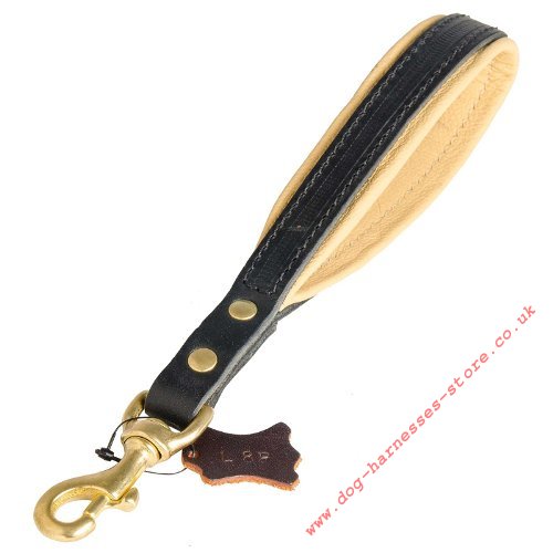 Padded Dog Lead, Short UK