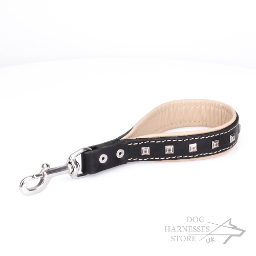 Short Leather Leash