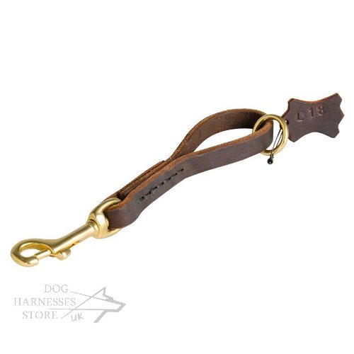 Best Leash for Labrador Retriever