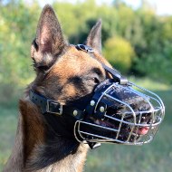 Dog Muzzle for Belgian Malinois Training and Work