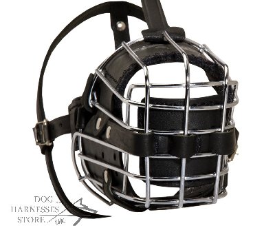 Dog Muzzle for Belgian Malinois Training and Work