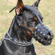 Bestseller! Leather Muzzle for Doberman Walking and Training