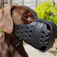 Dog Muzzle for Doberman Pinscher Agitation Training of Leather