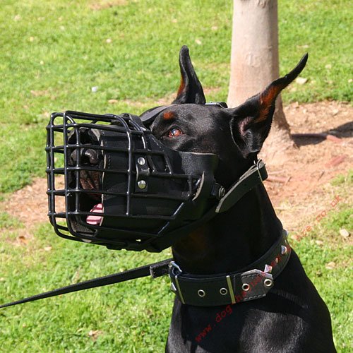 Wire Muzzle for Doberman