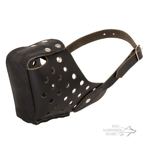 Agitation Training Dog Muzzle