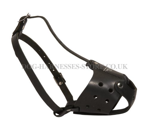 Durable Leather Dog Muzzle