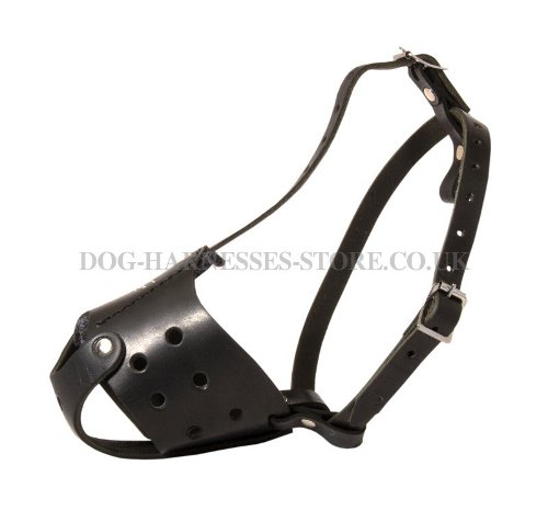 Best Anti Bark Muzzle UK