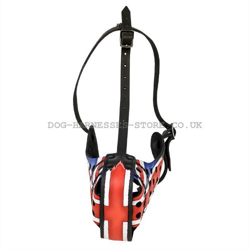 Best Dog Muzzle UK