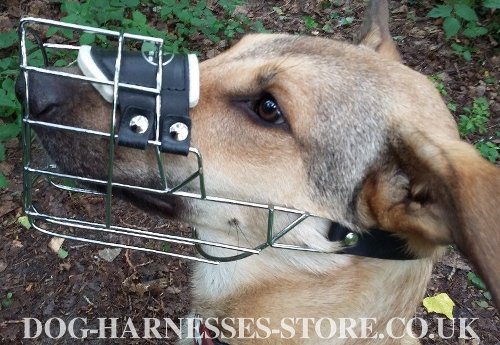 Wire Basket Dog Muzzle UK