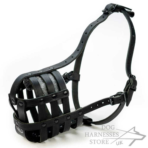 Best Leather Dog Muzzle