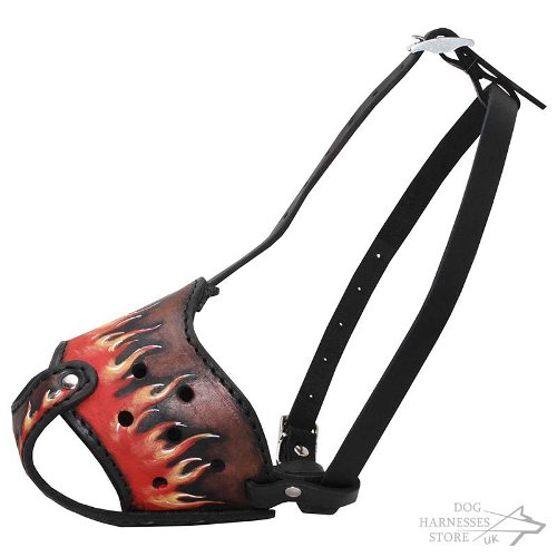 Best Leather Dog Muzzle