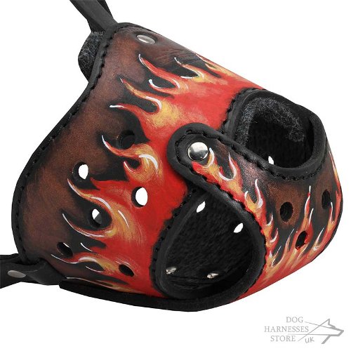 Buy Leather Dog Muzzle