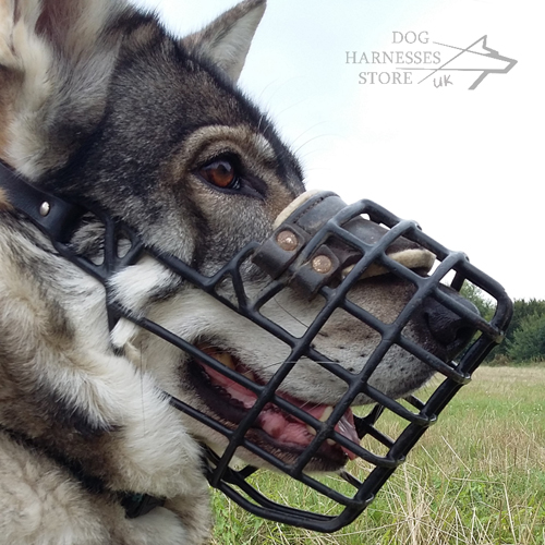 Wire Dog Muzzles UK