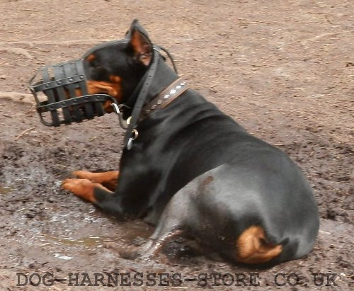 Doberman Muzzles UK