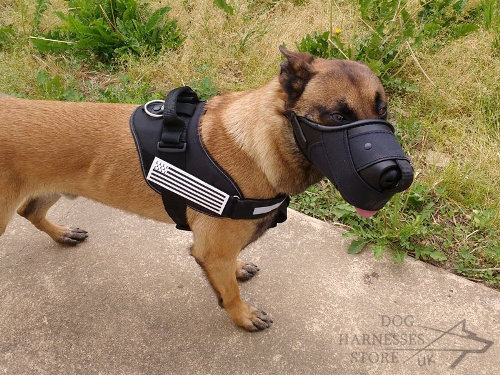 Dog Muzzle for Belgian Malinois