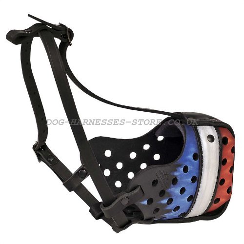 Dog Muzzle France