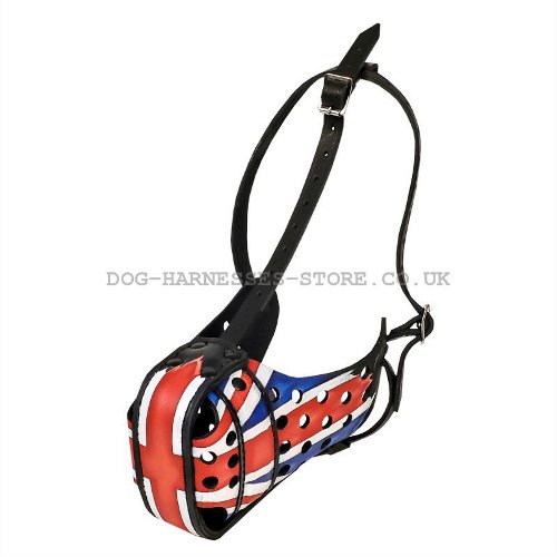 Dog Muzzle UK