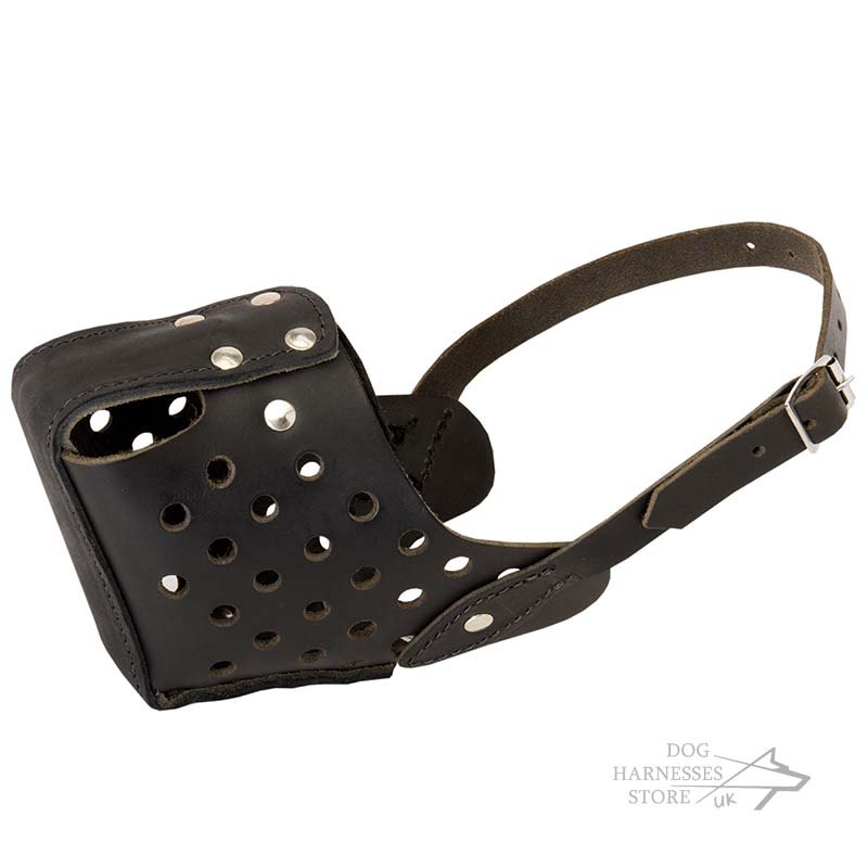 muzzle training for reactive dogs muzzle training for reactive dogs