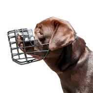 labrador muzzle
uk dog muzzle for labrador uk