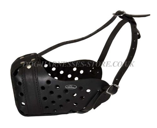 Leather Dog Muzzle, Attack Training