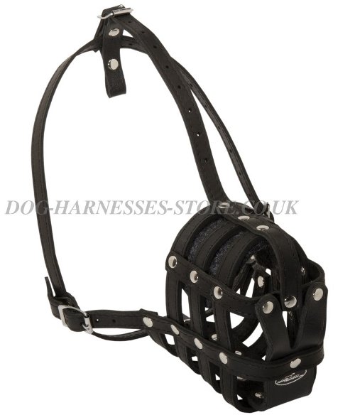 Leather Dog Muzzle for Sale