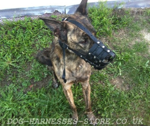 Leather Dog Muzzles for Sale UK