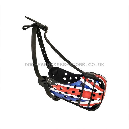 Leather Dog Muzzle UK