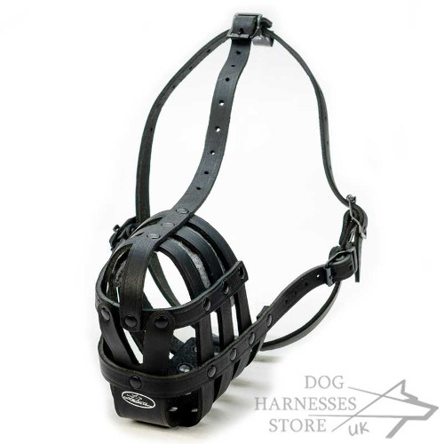 Leather Muzzle for Dogs