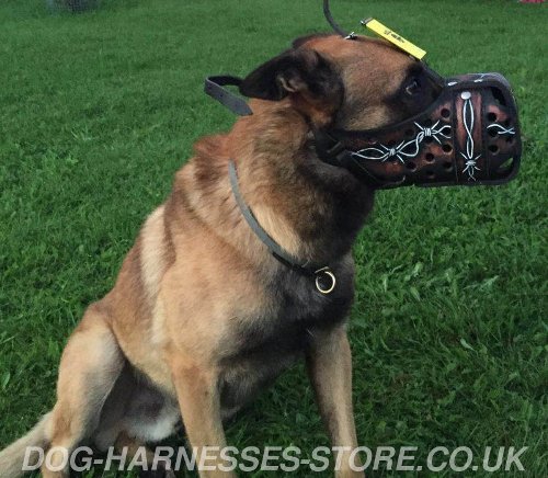 Malinois Dog Muzzle