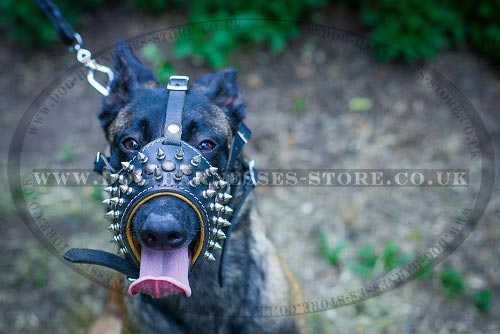 Malinois Dog Muzzle