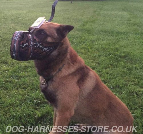 Malinois Muzzle UK