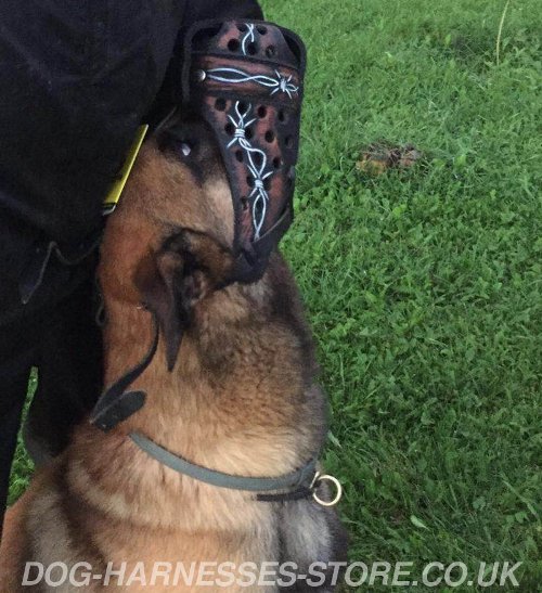 Malinois Muzzles