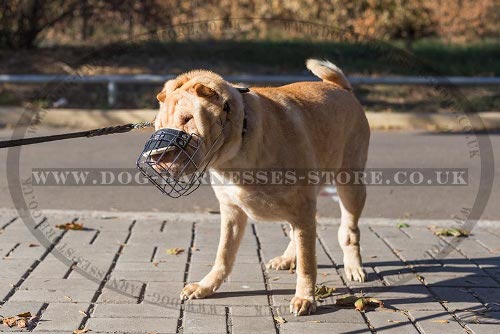 Muzzle for Shar-Pei UK