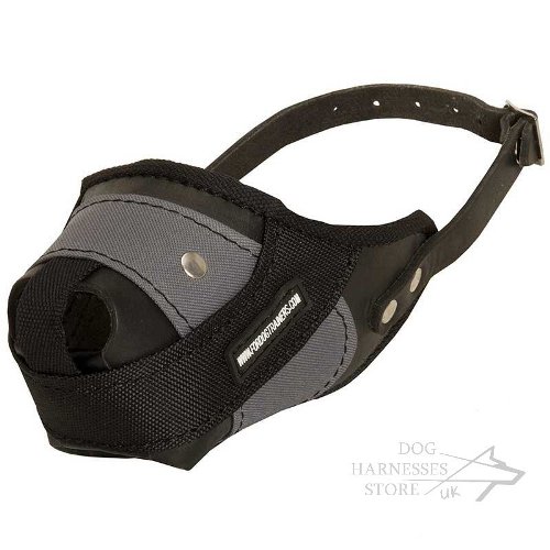 Belgian Malinois Dog Muzzle